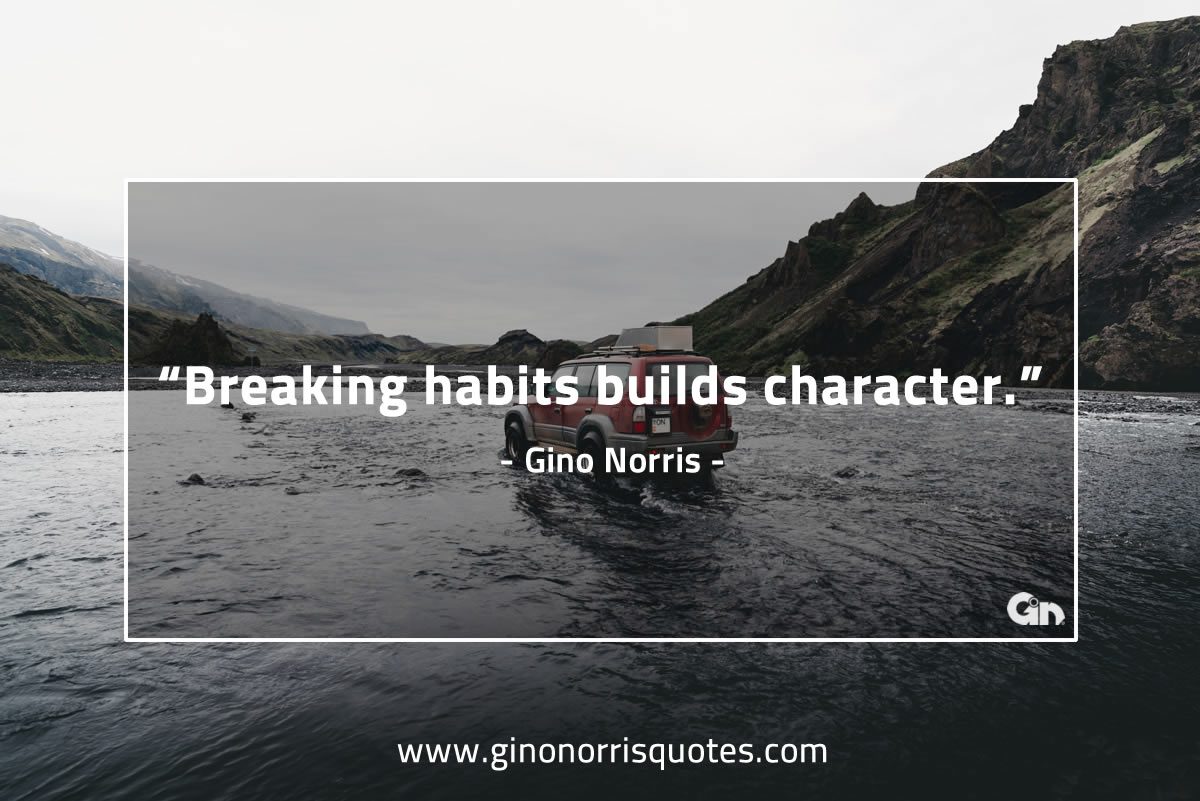 Breaking habits build GinoNorris 1