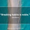 Breaking habits is noble GinoNorris 1155x770 1