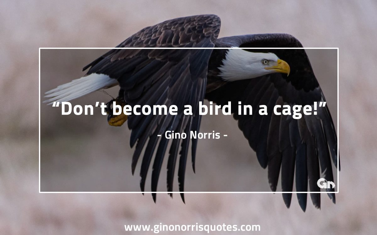 Dont become a bird GinoNorris 1200x750 1