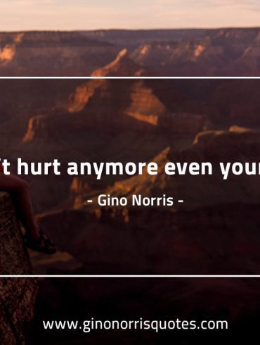 Dont hurt anymore GinoNorris 1