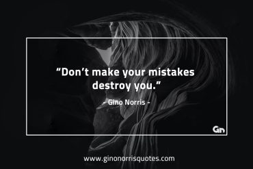 Dont make your mistakes GinoNorris 1