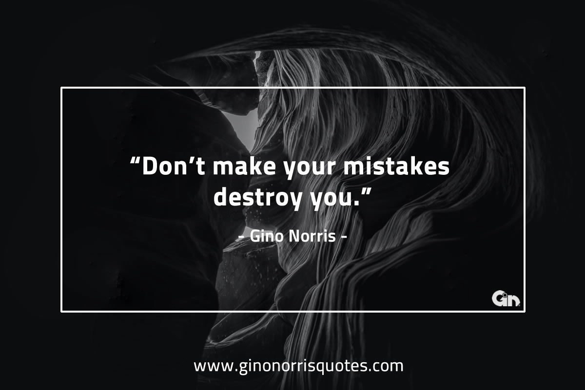 Dont make your mistakes GinoNorris 1