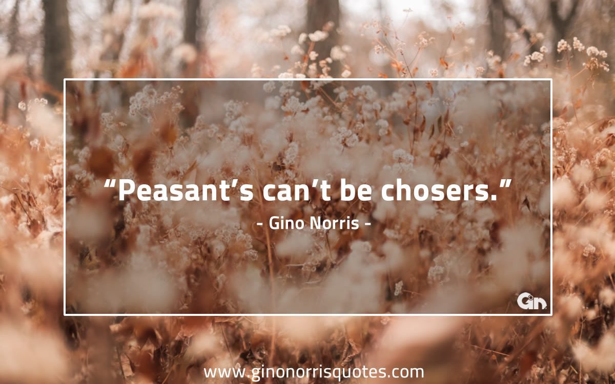 Peasants cant be chosers GinoNorris 1200x750 1