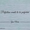 Perfection wants to be perfected GinoNorris