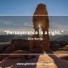Perseverance is a right GinoNorris 1