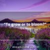 To grow or bloom GinoNorris 1