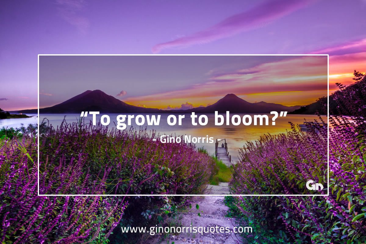 To grow or bloom GinoNorris 1