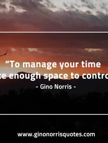 To manage your time GinoNorris 1