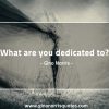 What are you dedicated GinoNorris 1200x750 1