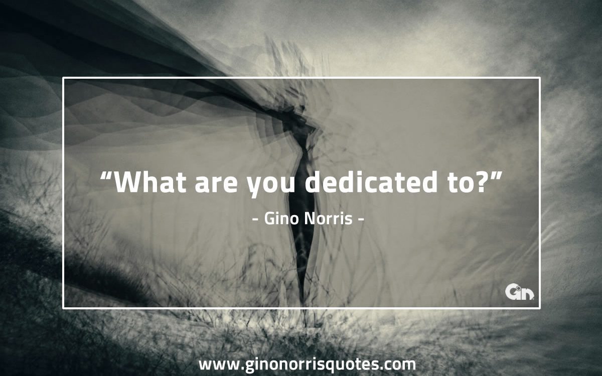 What are you dedicated GinoNorris 1200x750 1