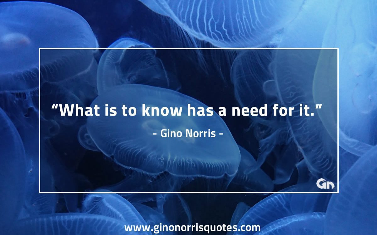 What is to know GinoNorris 1200x750 1