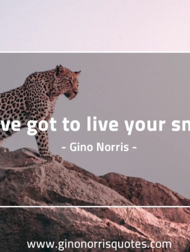 Youve got to live your GinoNorris 1200x750 1