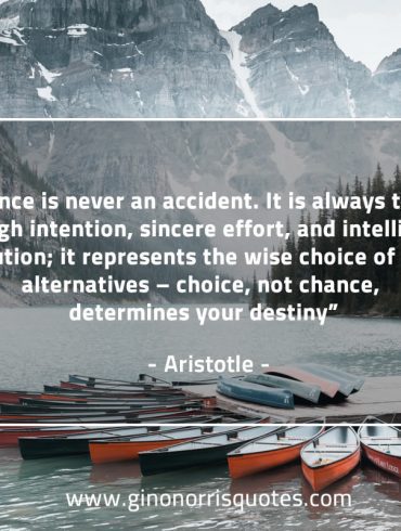 Excellence is never an accident AristotleQuotes