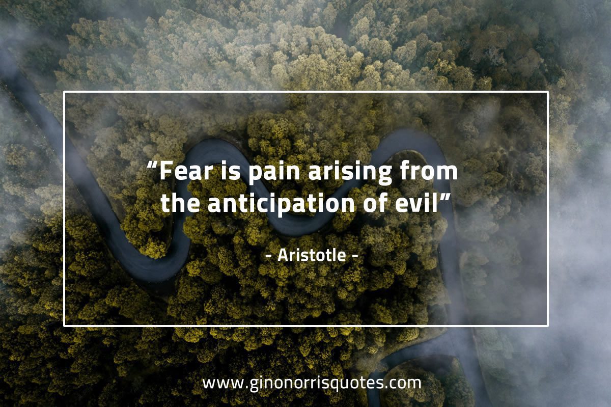 Fear is pain arising AristotleQuotes