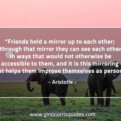 Friends hold a mirror AristotleQuotes
