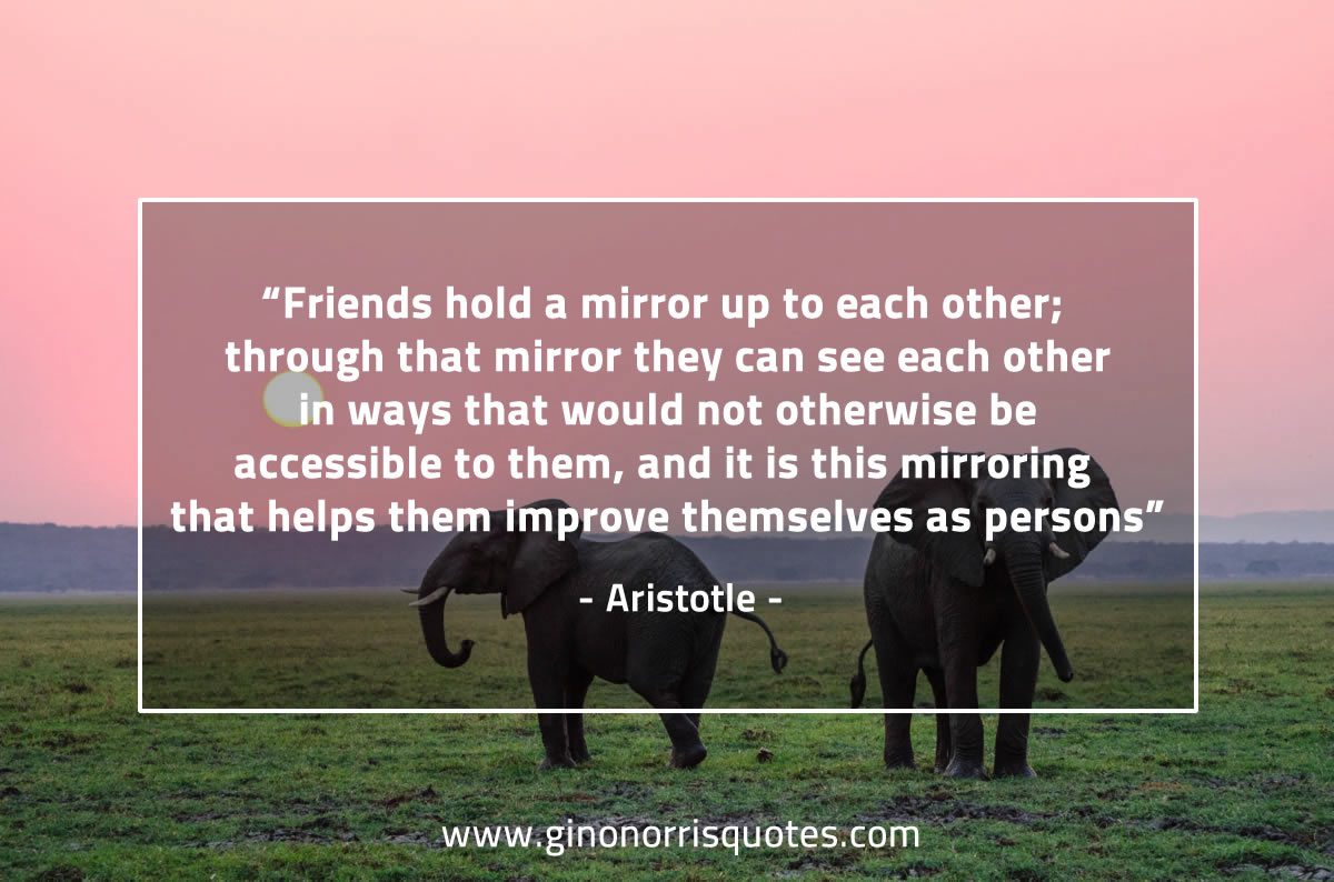Friends hold a mirror AristotleQuotes