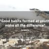 Good habits formed at youth AristotleQuotes