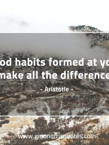 Good habits formed at youth AristotleQuotes