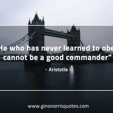 He who has never learned AristotleQuotes