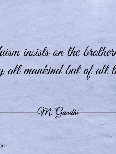 Hinduism insists on the brotherhood Gandhi