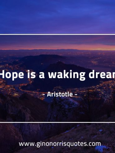 Hope is a waking dream AristotleQuotes