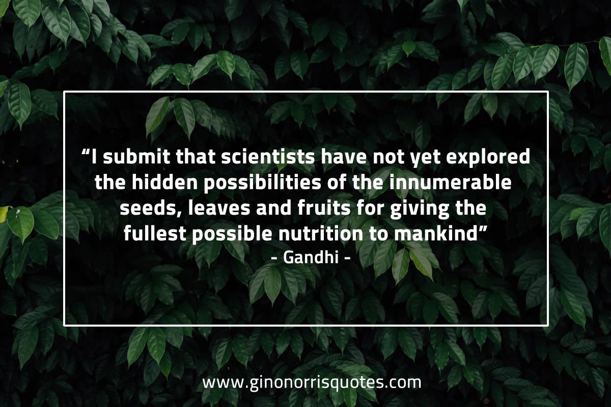 I submit that scientists have not yet explored GandhiQuotes