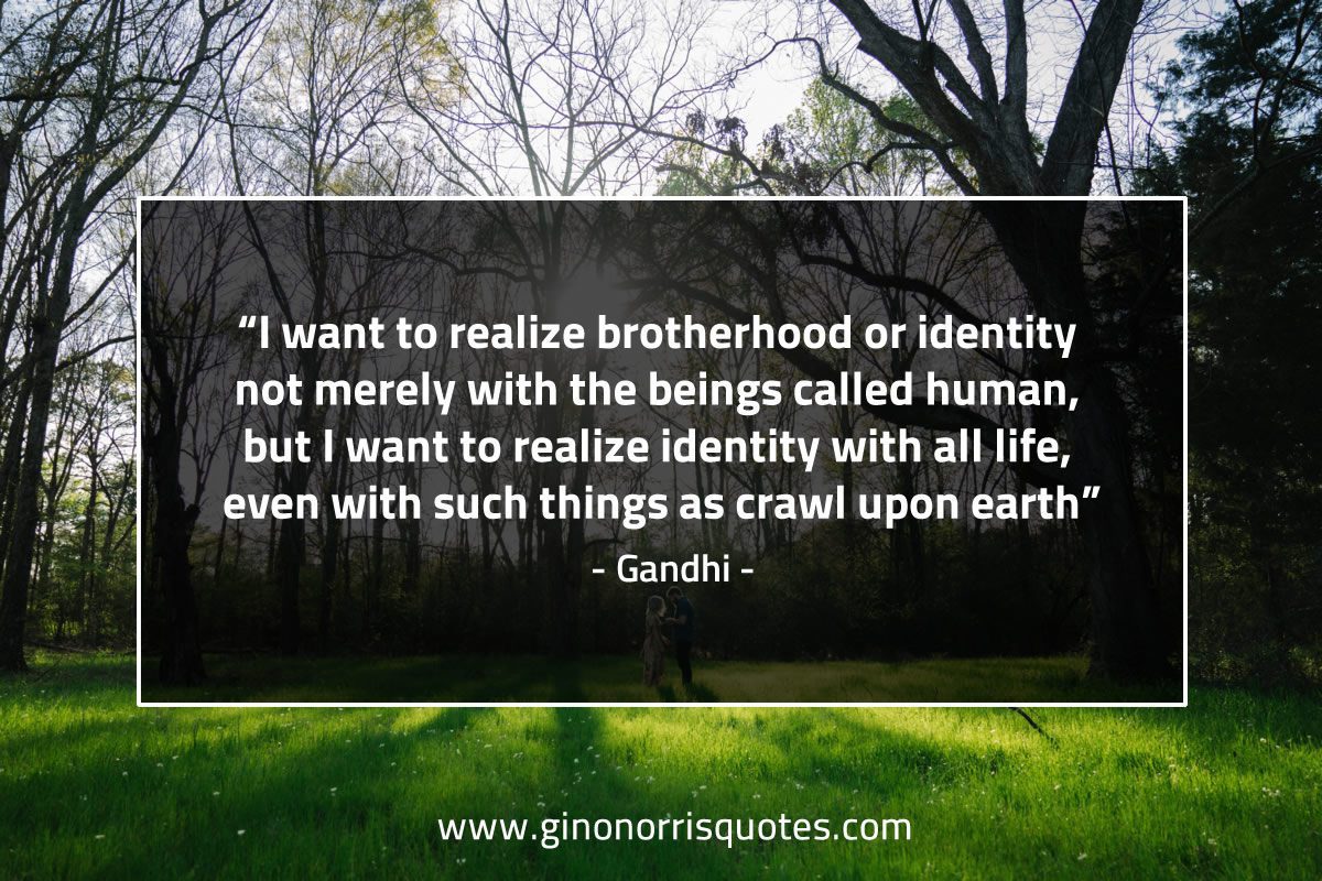 I want to realize brotherhood or identity GandhiQuotesv