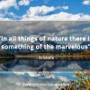 In all things of nature AristotleQuotes