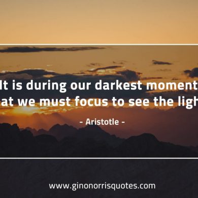 It is during our darkest moments AristotleQuotes