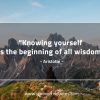 Knowing yourself AristotleQuotes