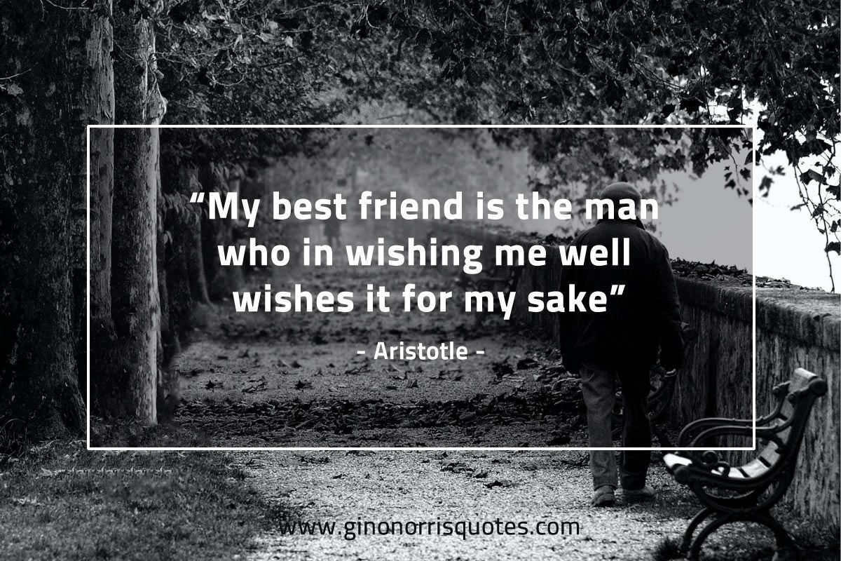 My best friend is the man AristotleQuotes