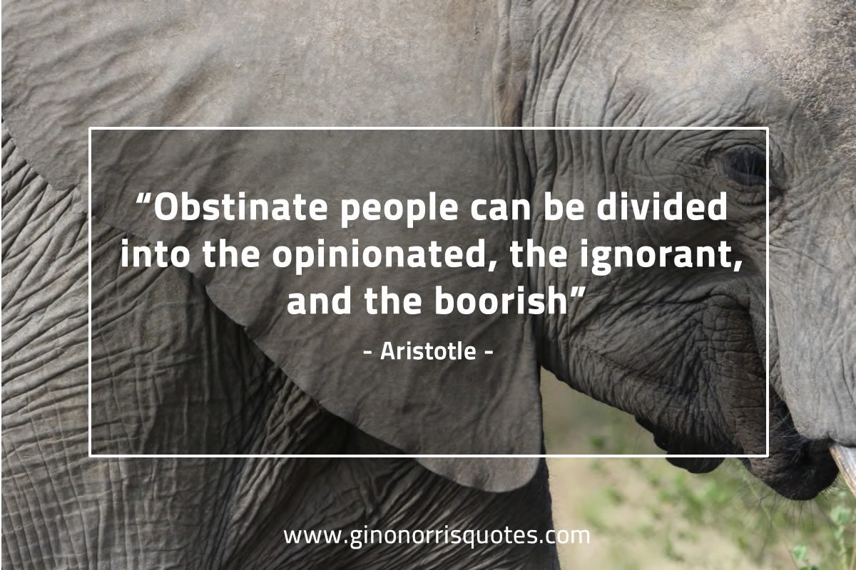 Obstinate people AristotleQuotes