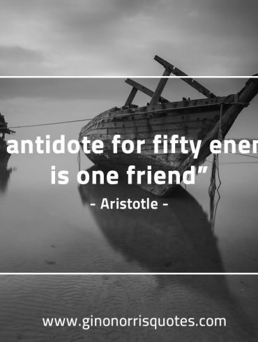 The antidote for fifty enemies AristotleQuotes