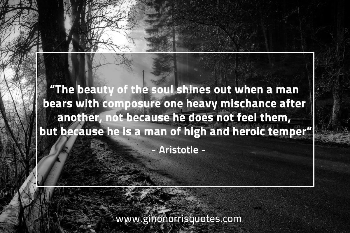 The beauty of the soul AristotleQuotes