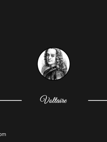 Voltaire 1