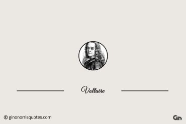 Voltaire 3