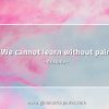 We cannot learn without pain AristotleQuotes