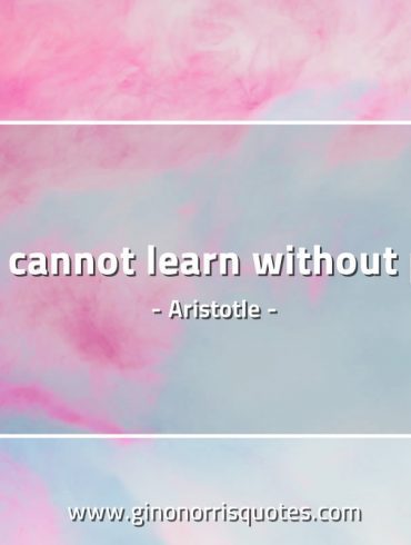 We cannot learn without pain AristotleQuotes