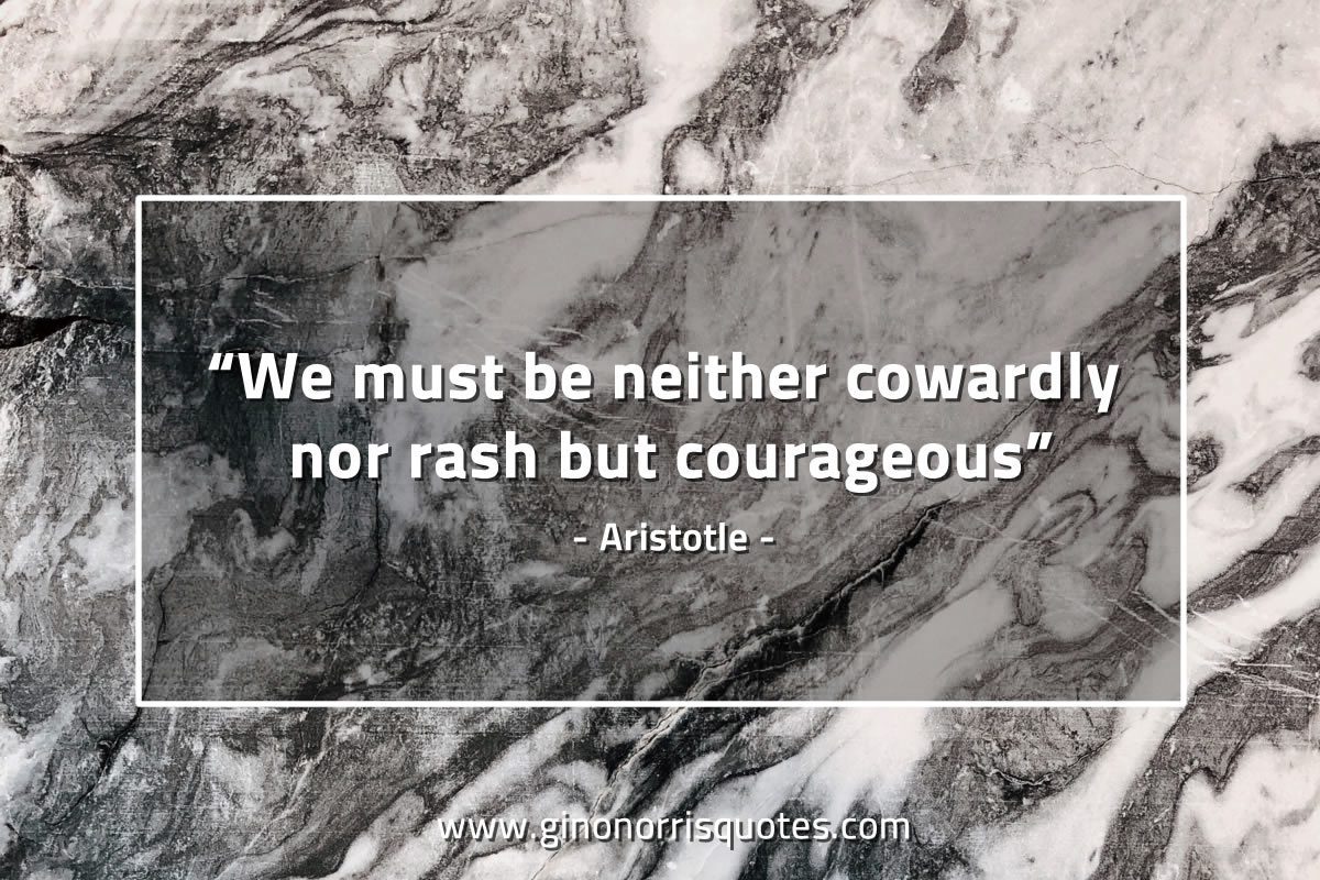 We must be neither cowardly nor rash AristotleQuotes