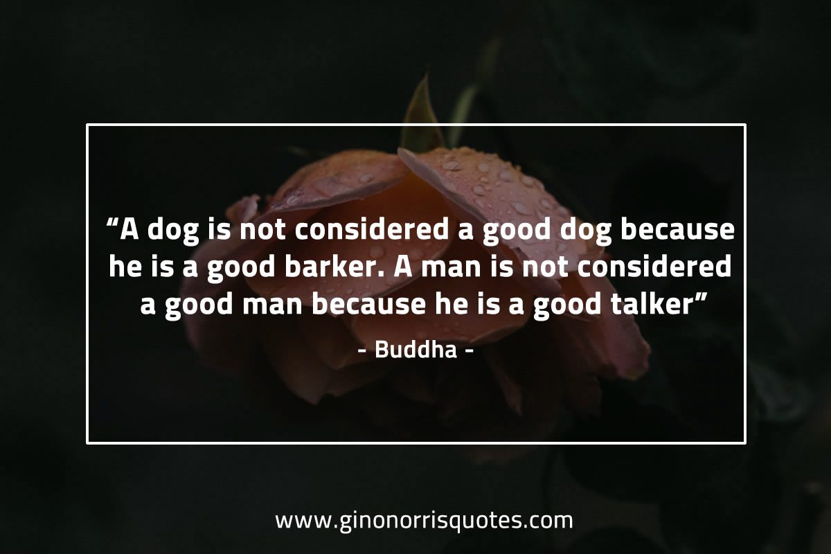 A dog is not considered BuddhaQuotes