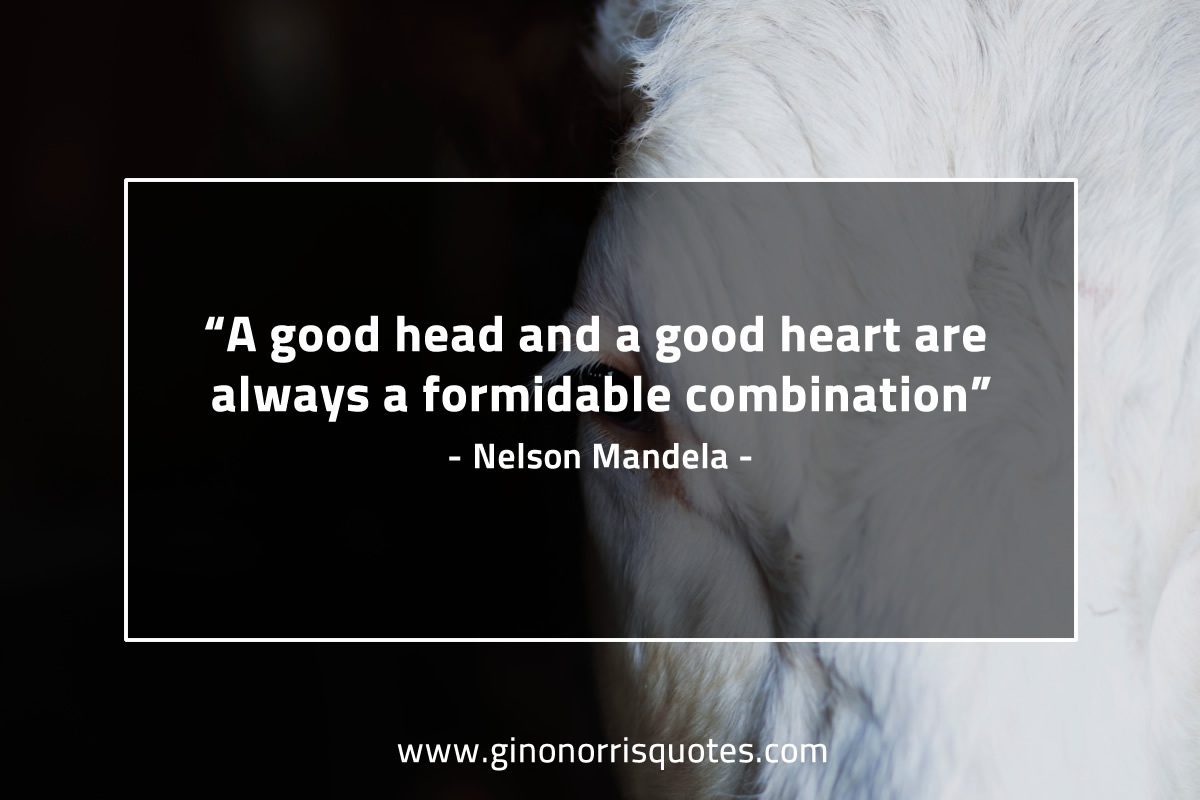 A good head and a good heart MandelaQuotes