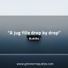 A jug fills drop by drop BuddhaQuotes