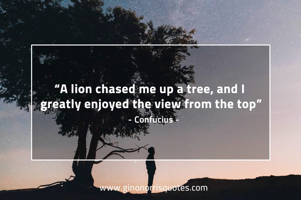 A lion chased me up a tree ConfuciusQuotes
