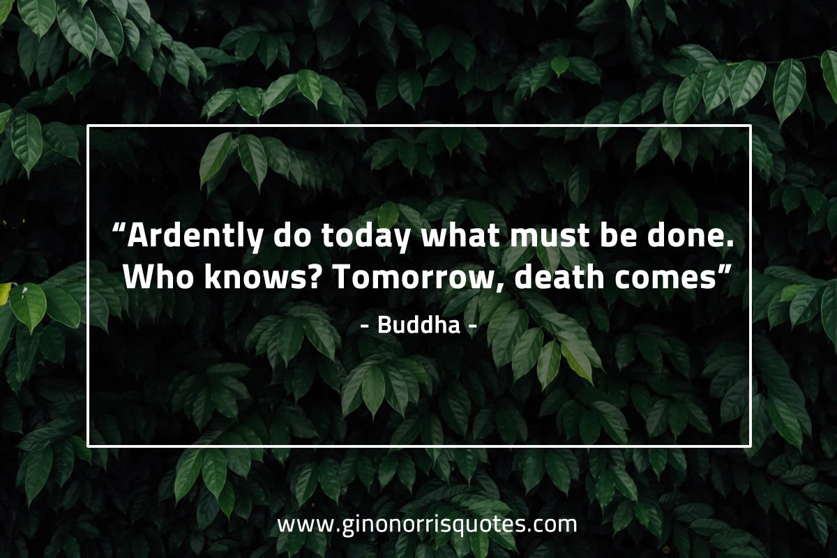 Ardently do today BuddhaQuotes