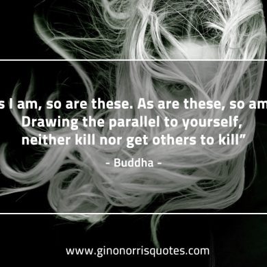 As I am so are these BuddhaQuotes