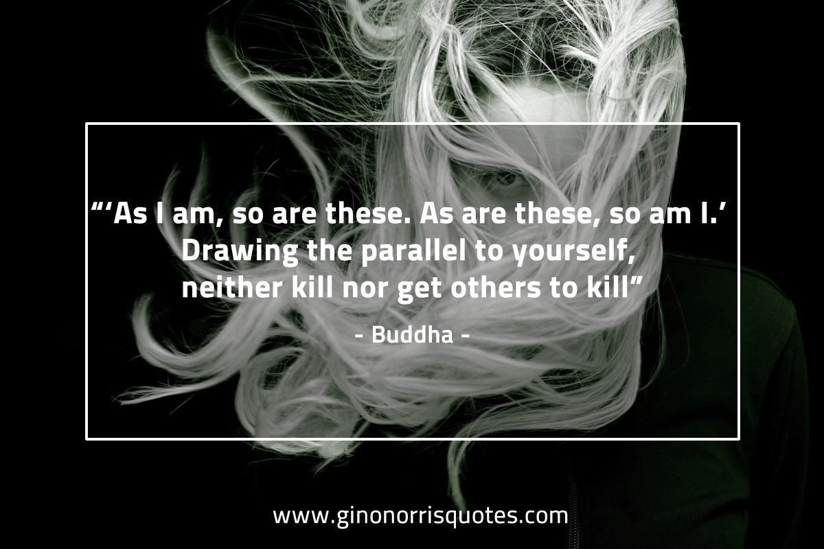 As I am so are these BuddhaQuotes