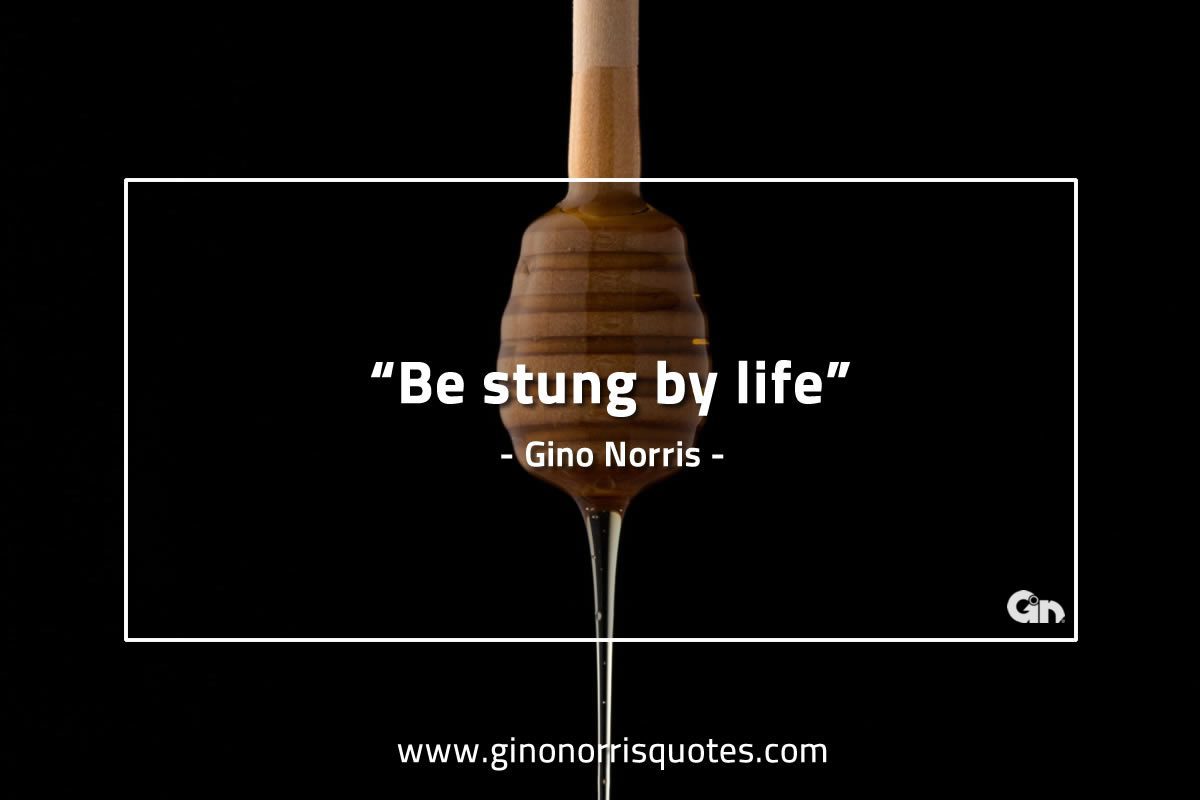 Be stung by life GinoNorrisQuotes