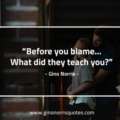 Before you blame GinoNorrisQuotes