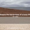 Beware the barrenness of a busy life SocratesQuotes