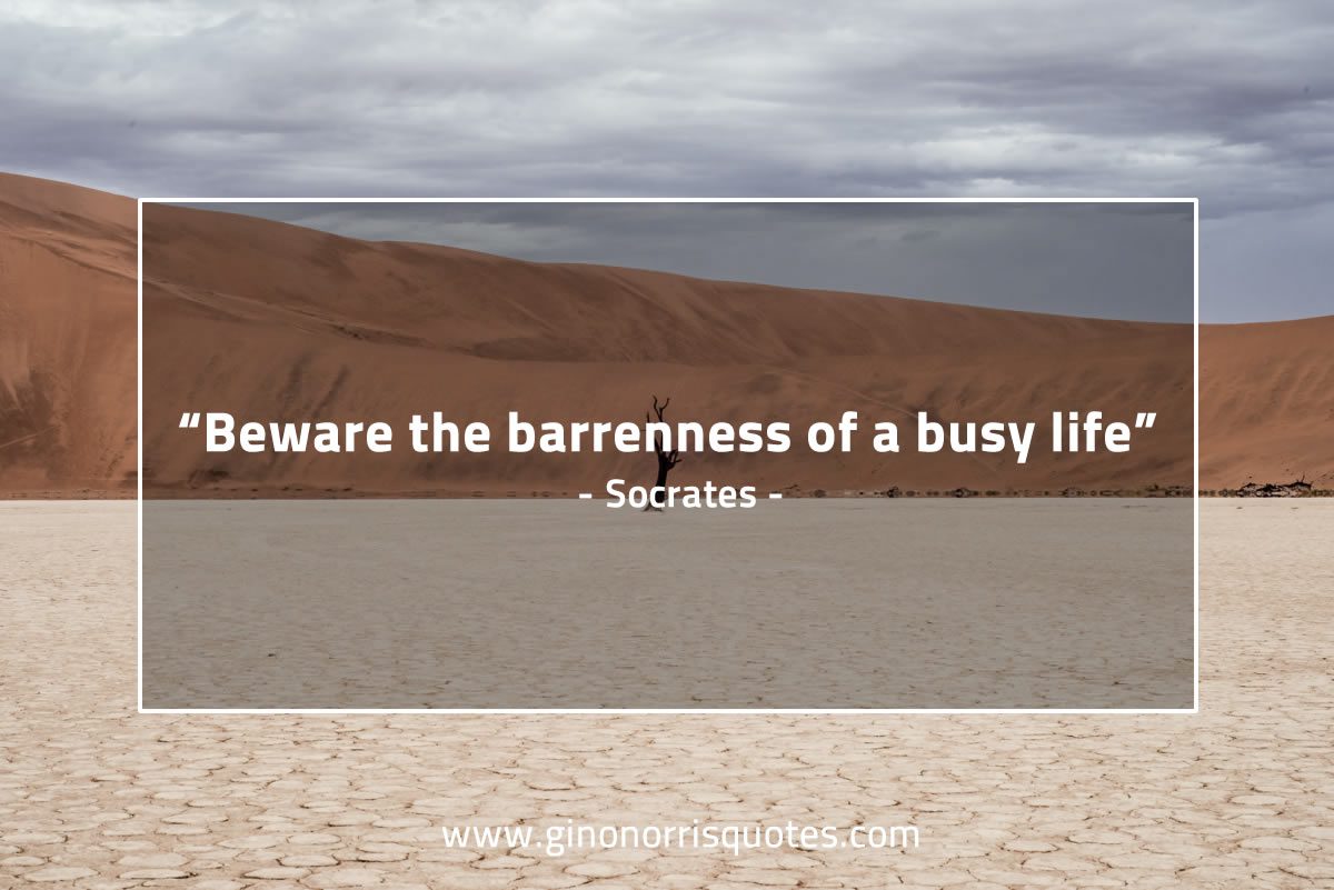 Beware the barrenness of a busy life SocratesQuotes